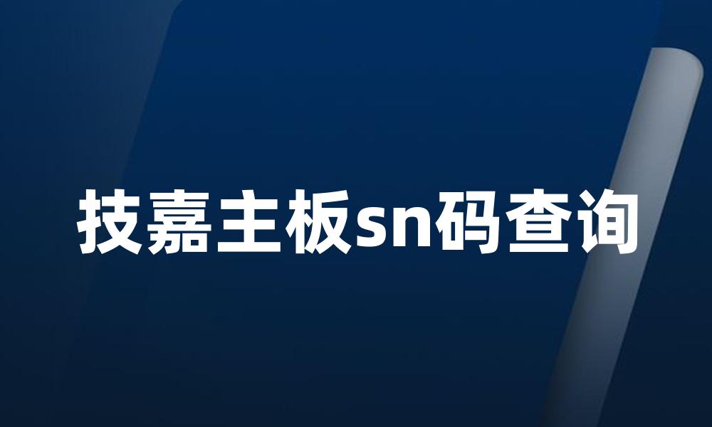 技嘉主板sn码查询