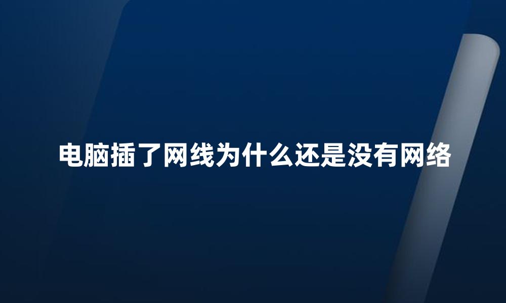 电脑插了网线为什么还是没有网络