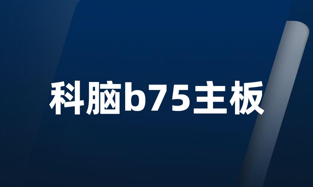 科脑b75主板