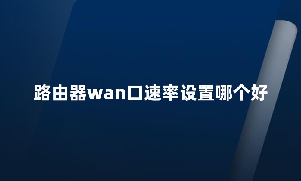 路由器wan口速率设置哪个好