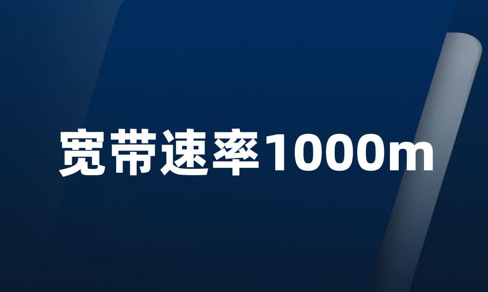 宽带速率1000m