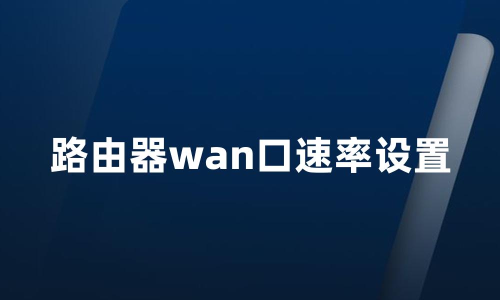 路由器wan口速率设置