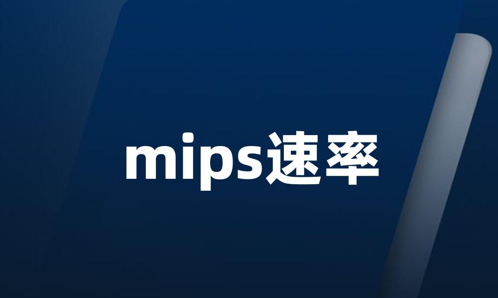 mips速率