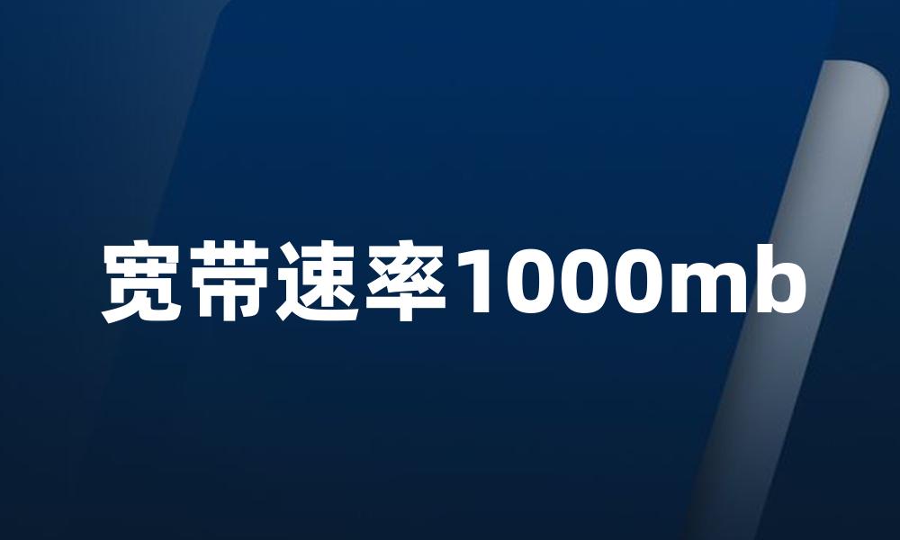 宽带速率1000mb