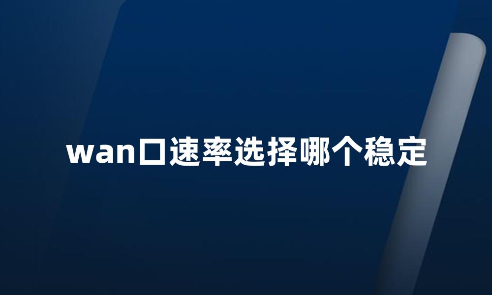 wan口速率选择哪个稳定