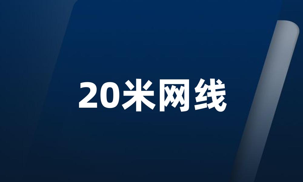 20米网线