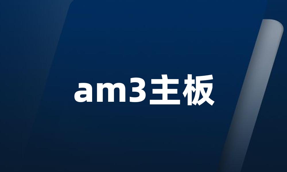 am3主板