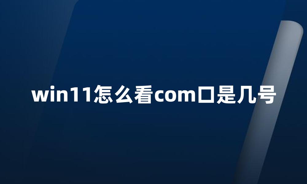 win11怎么看com口是几号