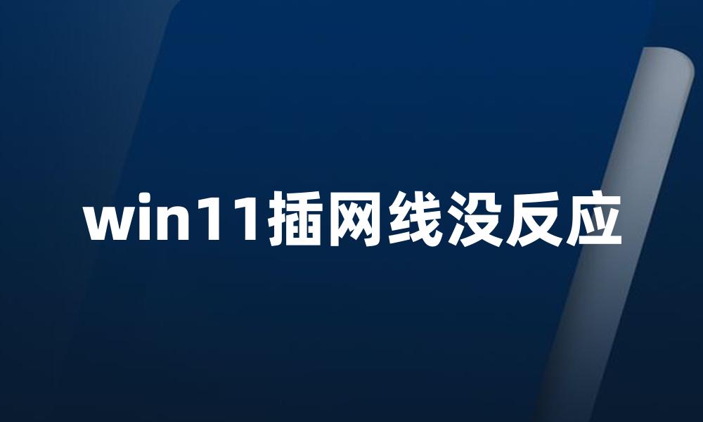 win11插网线没反应