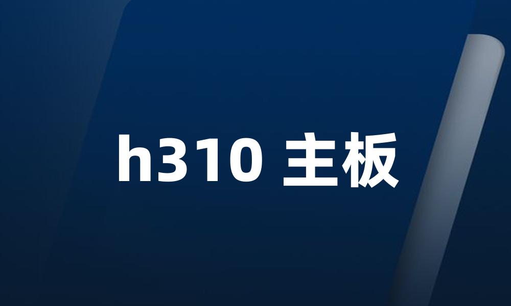 h310 主板