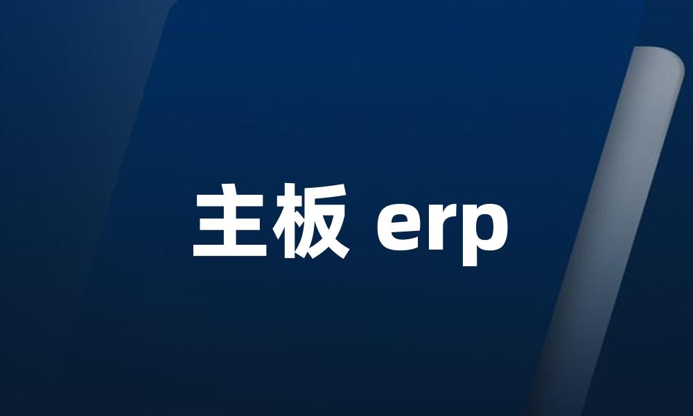 主板 erp