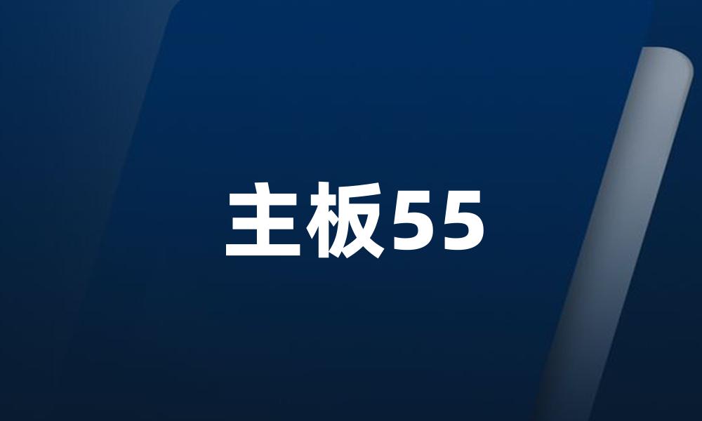 主板55