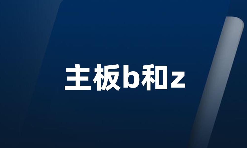 主板b和z