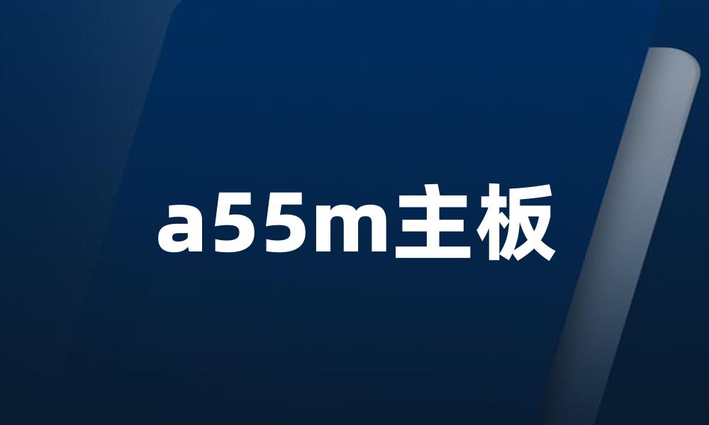 a55m主板