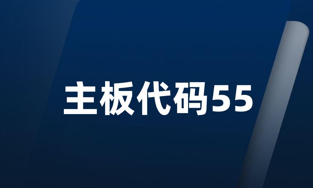 主板代码55