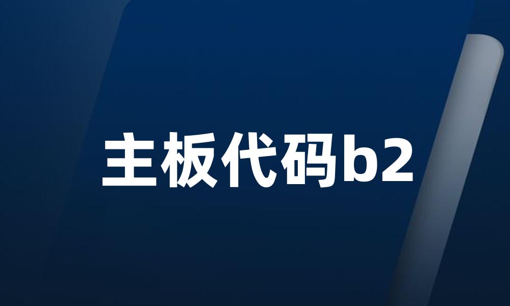 主板代码b2