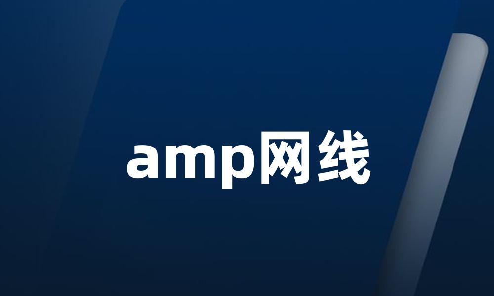 amp网线