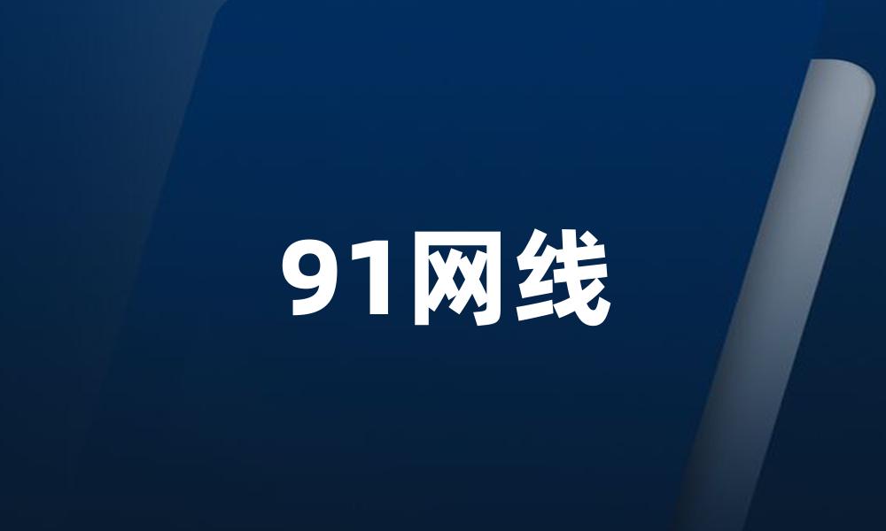 91网线