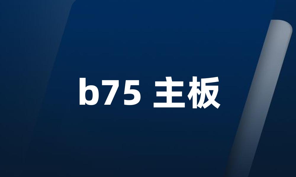 b75 主板