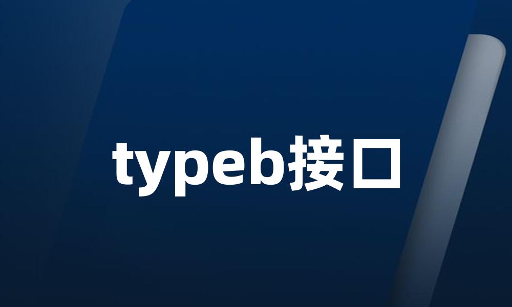 typeb接口