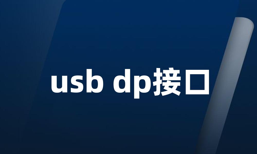 usb dp接口